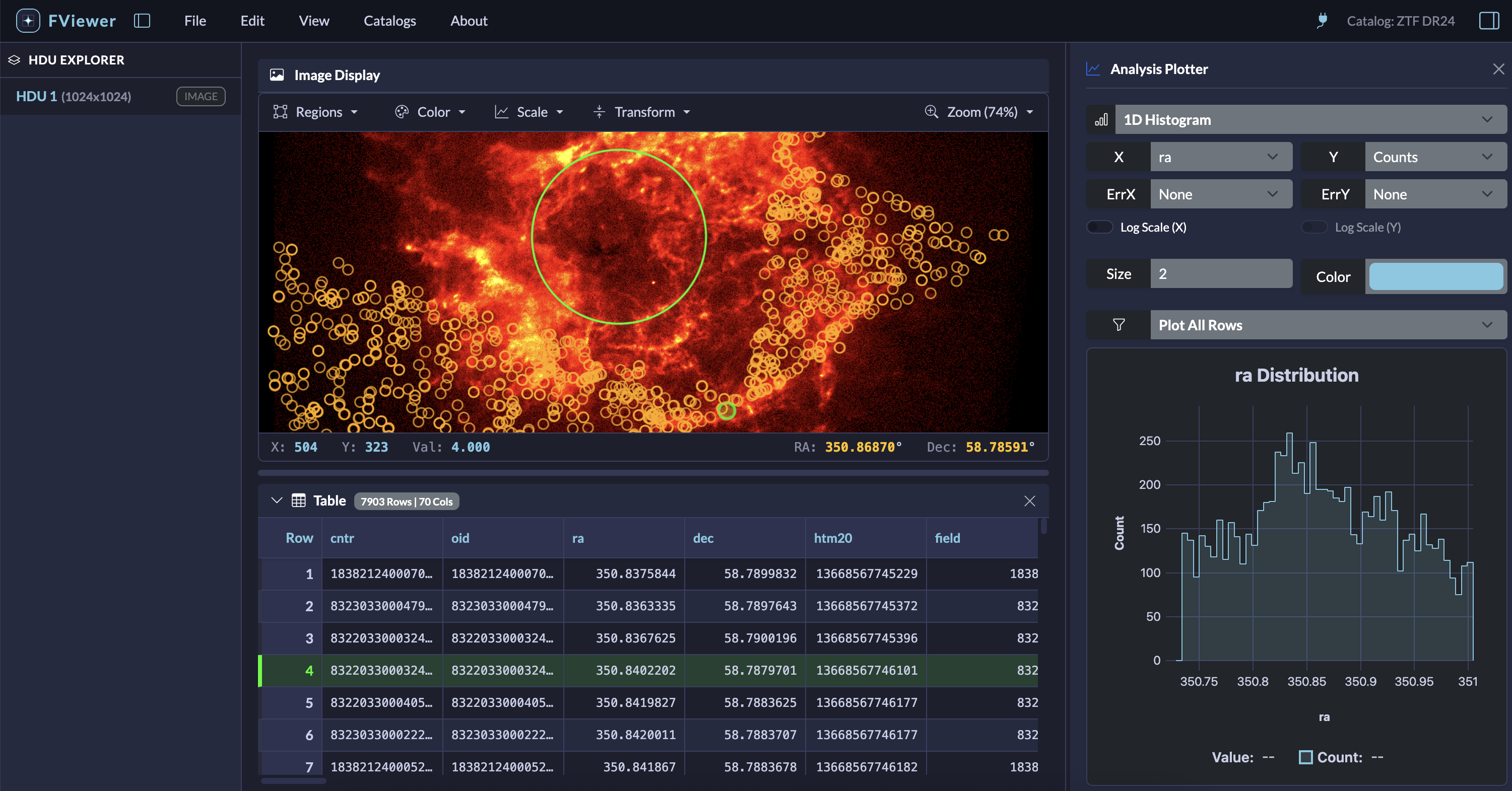 A screenshot of the FViewer workspace